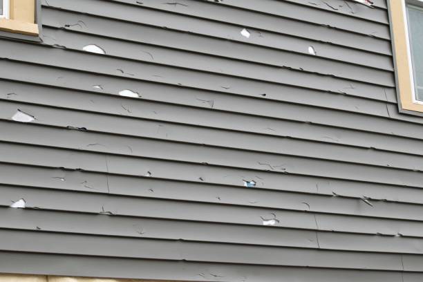 Professional Siding Services in Centerville, UT